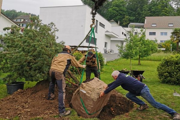 schuermann-rombach-baumpflanzung-mai-19AE2A2BCB-7E13-5AE1-E914-FA0ECDFA376D.jpg