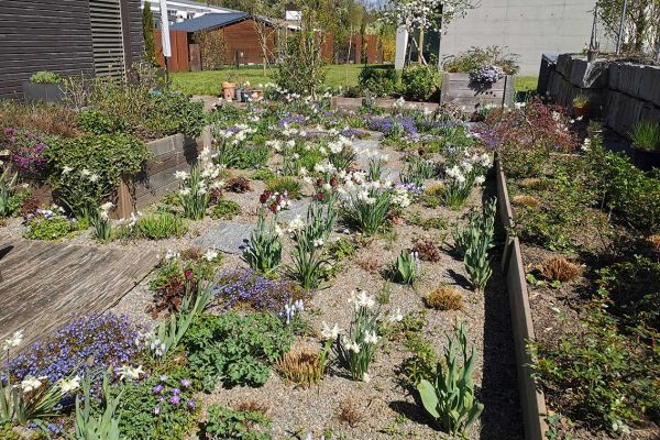 pflanzenrabatten-14BE9CEBAA-60E5-9139-384D-B7171F781C97.jpg